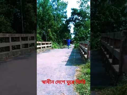 সবুজ বাংলাদেশ আর প্রকৃতি দেখি #shortsfeed #shorts #nature #village #viralvideo #nature #green #video