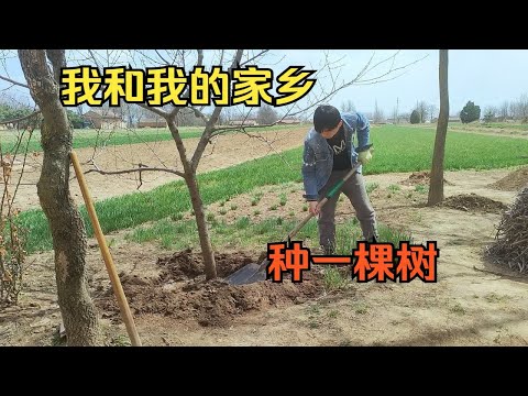 小小村落，人间烟火，治愈人心的乡野田间，是关于我们的温软归属