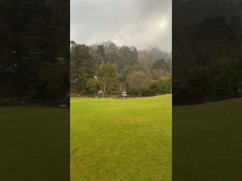 #ooty #shorts #youtube #youtubeshorts #ootytrip #tamilnadu #nature #park #fog #viral #motovlog #vlog