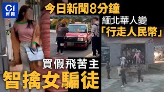 今日新聞｜賣劉德華尾場假飛 苦主放蛇捉人｜ 緬北詐騙  中國人被賣豬仔售逾40萬｜01新聞｜雞公嶺｜劉德華｜Carousell｜緬甸｜茶餐廳｜2025年1月12日   #hongkongnews