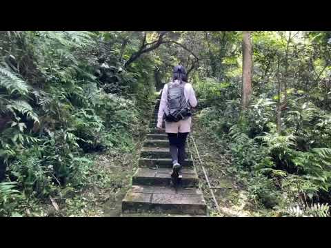 台北信義區推薦步道｜永春陂濕地公園｜一路的陡上是不是有點嚇人，還好不會太長，一路安步當車，慢慢爬就行｜cakethree三個蛋糕