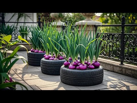 Balcony Gardening Made Easy: Grow Onions in Recycled Plastic Bottles