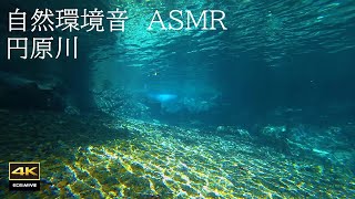 4K natural environmental sound Enbaru River Healing underwater video + underwater sound