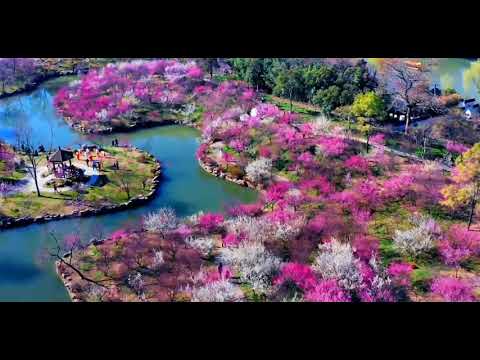 《春游瘦西湖 • Slender West Lake》