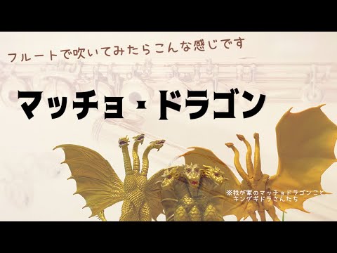 【フルート】マッチョ・ドラゴン/藤波辰爾【四重奏】