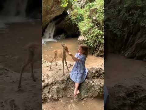 Making friends 🦌🥰 ।। Environmental Life।। #shorts #cutegirl #viral