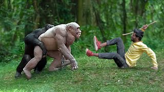 Crazy Gorilla Attack | An African Gorilla, funny Chimpanzee, monkey and wild animal films