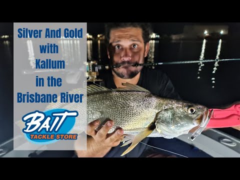 Catching Silver and Gold in the Brisbane River