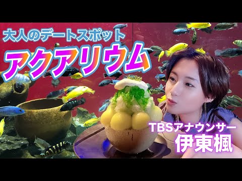 カピバラと触れ合える！都会のど真ん中にある水族館🍧🐠