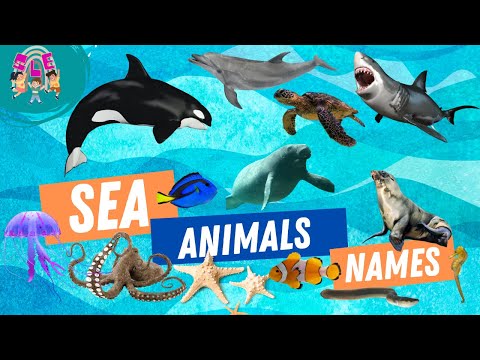 Sea Animals Names for Kids Learning | Educational Video for Kids, Toddler and Pre-school Children