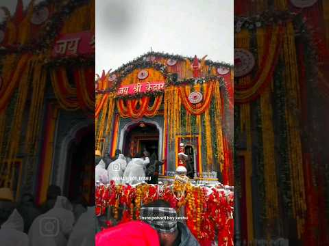 baba kedarnath.terding Short's#kedarnath#kedarnathtemple #mahadev#shrots 🙏 #bholenathwhatsappstatus