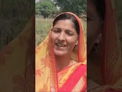 106 Mamtesh from Bulandshahr | Uttar Pradesh | Nano Urea Testimonial