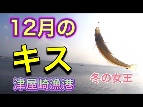 【福岡】12月！まだキス釣れてます！型も良くなって今が狙い目！？【津屋崎漁港】【7釣目】