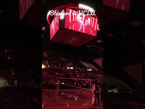 Stanford Women’s Volleyball vs UCLA