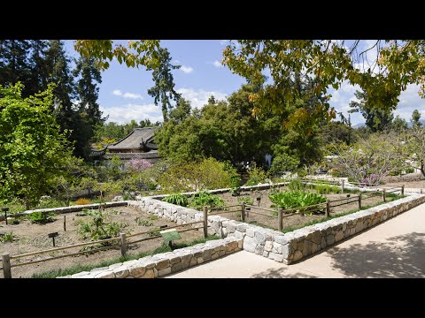 The Chinese Medicinal Herb Farm