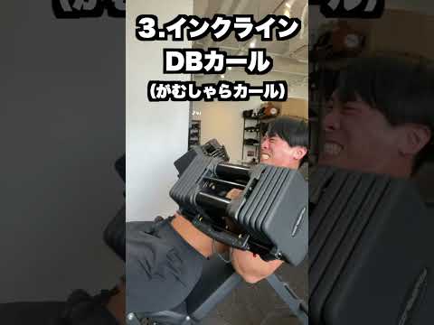 くづまるの45分で追い込める腕トレ全種#筋肉