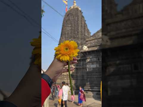 Happy mahashivratri #mahashivratrispecial #mahashivratri2024 #viral #youtube #shorts #travel #vlog