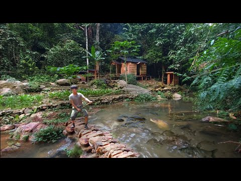 2 years living in forest build pond raise school of carp, Harvesting & catching fish after 1 year