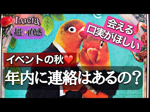 年内に連絡が来るの❓スピリットのエネルギーで超直感リーディング❣