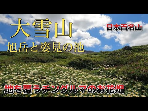 【大雪山　旭岳】旭岳と姿見の池