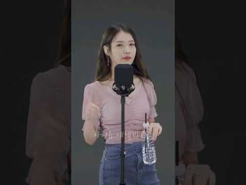 아이유(IU)의 킬링보이스를 라이브로! - 하루 끝, 너의 의미, 스물셋, 밤편지, 팔레트, 가을 아침, 삐삐, Blueming, 에잇, Coin, 라일락 ㅣ 딩고뮤직 #아이유