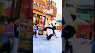 Cute panda 🐼🐼 running 🏃🏃#shortvideo #funny #running #cute