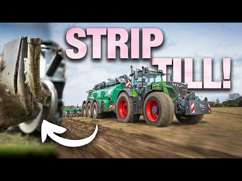 Die Evolution in der Gülletechnik | Gülle ausbringen mit Samson StripTill und Fendt 939+ 724 Vario!