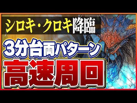 【シロキセイリュウ降臨】ネロミェールループで攻略！シロキとクロキ確保用両パターン編成！【パズドラ】