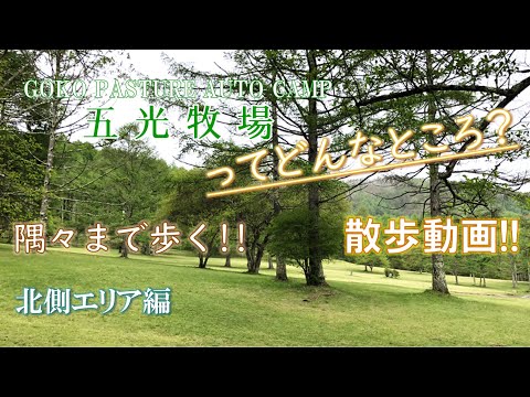 【散策動画】北側エリアを散策!!五光牧場オートキャンプ場ってどんなところ？