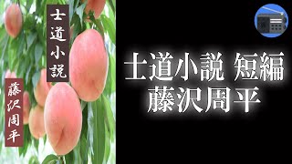 【朗読】「士道小説 短編」“闇討ち”するところを目撃してしまった妻女。そのために命を狙われてしまう！ やがて驚愕の真相が明らかに！？【時代小説・歴史小説／藤沢周平】