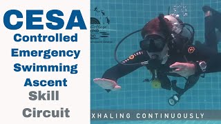 PADI CESA Demonstration 🤟 Divemaster & Instructor PADI IDC Skill Circuit