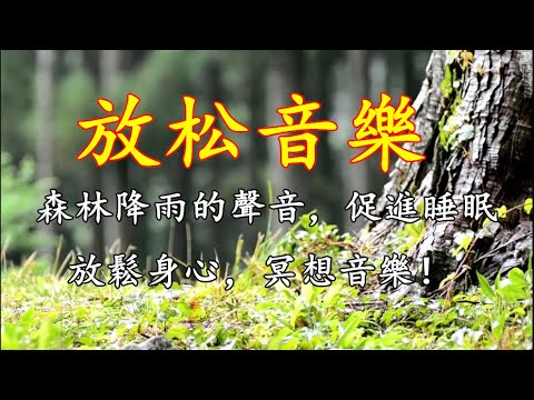 【大自然的聲音】森林降雨的聲音，促進睡眠，放鬆身心，冥想音樂 🌱森林, 鳥鳴, 大自然 💛輕音樂, 療癒音樂 😀睡眠音樂, 早晨冥想 🎶讀書音樂, 工作音樂 💎大自然聲音放鬆音樂 🍎