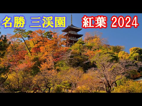 【4K】[VLOG] 横浜の名勝「三渓園」紅葉見頃2024