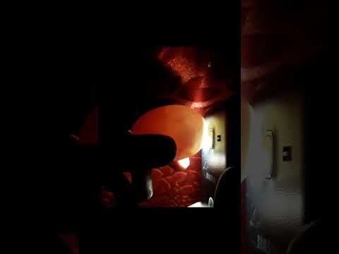 CANDLING CHICKEN EGGS DAY 9 #Viral #Shorts