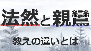 法然上人と親鸞聖人の教えの特徴、その違いとは【仏教の教え】