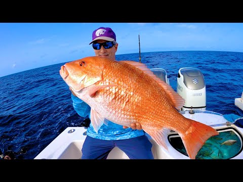 MONSTER GROUPER AND SNAPPER | LAST DAY OF GROUPER SEASON | FULL LIMITS