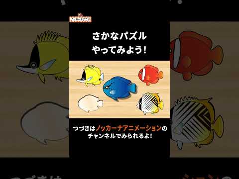 お魚パズルで遊ぼう！ #nokkanaanimation #ノッカーナアニメーション #知育アニメ #shorts