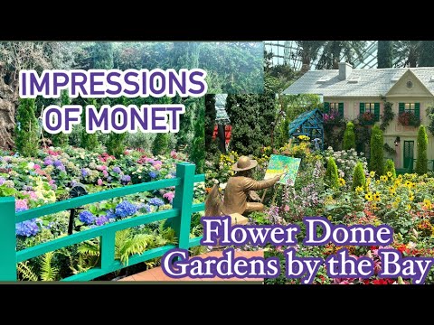 SINGAPORE: Walking Tour IMPRESSIONS of MONET in FLOWER DOME #gardensbythebay #singapore