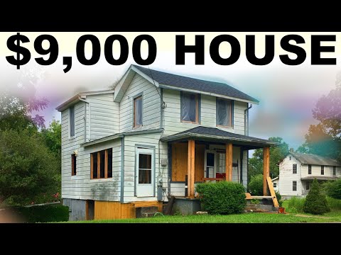 $9,000 HOUSE - FRAMING // ROOF // NEWS - Ep. 25