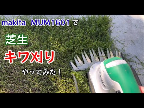 芝生 キワ刈りやってみた！バリカン式芝刈り機 makita MUM1601使ってみた！【118のりのり】