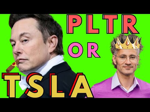 PLTR & TSLA STOCK- BUY AND HOLD FOR 2025