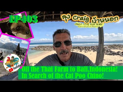 EP403 Off the Thai Farm to Bali, Indonesia! In Search of the Cat Poo Chino!