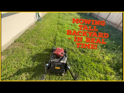 Watch as I MOW THIS TALL BACKYARD IN REAL TIME!