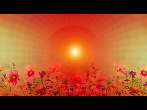 Relaxing music for Inner Balance, Stress relief and Relaxation. #Shorts