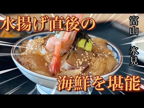 【水揚げ直後の海鮮丼🐟】日本海側の激ウマ海鮮と漁師汁で身も心も休まる🤤#氷見グルメ #漁港 #グルメ #グルメレポート #グルメ好き #富山グルメ #海鮮丼 #旅グルメ #ランチ #漁師飯