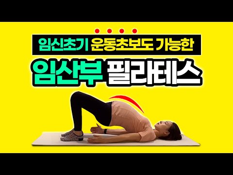 임신초기 임산부필라테스 (임신전 운동안했던 임산부도 운동가능)