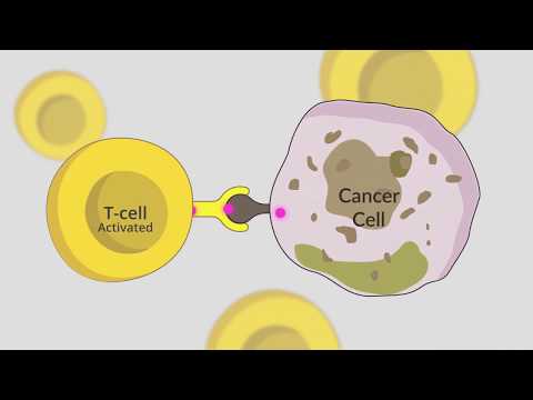 ACEA Transformative Video01: Targeting Checkpoint Inhibitors for Cancer Treatment: The Possibilities