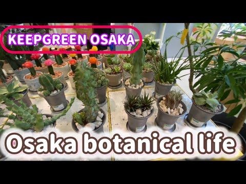 🍃Osaka botanical life🍃KEEP GREEN OSAKAに行ってきました💚