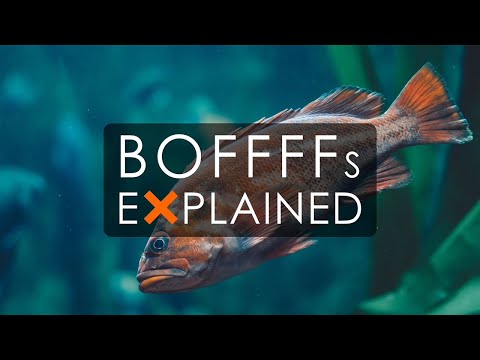 The vital importance of "BOFFFFs" - Explained | Prof. Scott Heppel