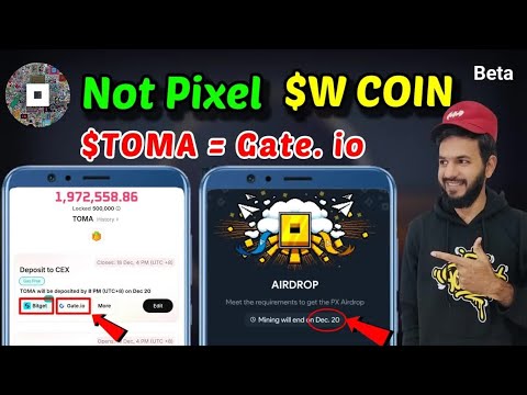 Not pixel Airdrop Date out ｜ W coin treasure 🪙 ｜ $TOMA Token Deposit gate.io & bitget ｜ Not pixel